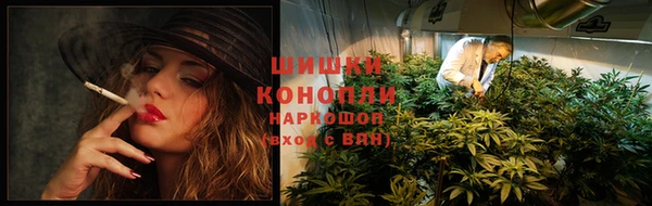 apvp Волосово