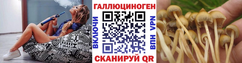 Псилоцибиновые грибы GOLDEN TEACHER  Волжск 