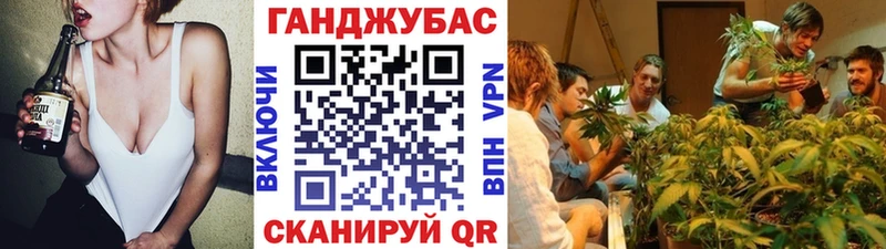 кракен как войти  где можно купить наркотик  Волжск  Марихуана сатива 